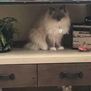 Meet your Posher, Judith